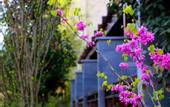 Туры в отель Narada Hotel Xuzhou