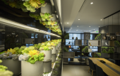 Туры в отель Homeinn Selected Hotel (Chengdu Panda Base Zoo Subway Station)