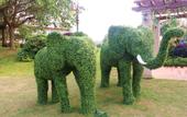 Туры в отель Country Garden Tianlu Lake Phoenix Hotel