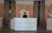 Туры в отель Rising Dragon International Hotel