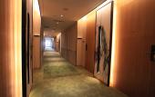 Туры в отель Rising Dragon International Hotel