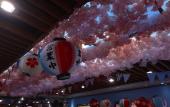 Туры в отель JI Hotel (Shanghai Shangcheng Road Subway Station)
