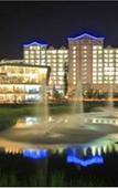 Туры в отель Sono Belle Cheonan