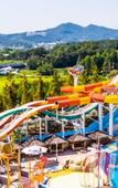 Туры в отель Sono Belle Cheonan