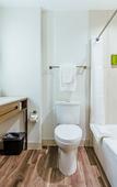 Туры в отель Hilton Garden Inn Denver Union Station, CO