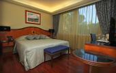 Туры в отель Hotel More