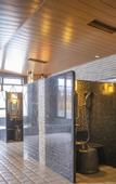 Туры в отель Dormy Inn Nagasakiekimae Hot Springs