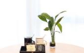 Туры в отель Vienna International Hotel (Haian Central Plaza)