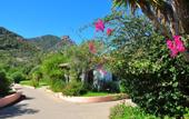 Туры в отель Perdepera Resort