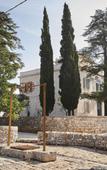 Туры в отель Villa Torre Bianca by Emily Hotels