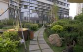 Туры в отель Somerset Zhongmao  Changchun