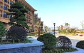 Туры в отель Jingcheng Shenhang International Hotel