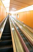 Туры в отель Hotel Urashima