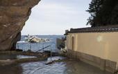 Туры в отель Hotel Urashima