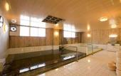 Туры в отель Hotel Urashima