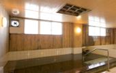 Туры в отель Hotel Urashima