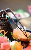 Туры в отель Hotel Urashima