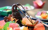 Туры в отель Hotel Urashima