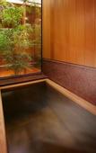 Туры в отель Hayamakan