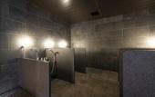 Туры в отель First Cabin Kyoto Nijojo