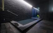 Туры в отель First Cabin Kyoto Nijojo