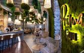 Туры в отель Hotel Caju