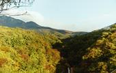 Туры в отель Fairfield by Marriott Tochigi Nikko