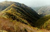 Туры в отель Fairfield by Marriott Tochigi Nikko