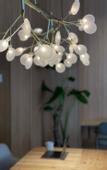 Туры в отель Bespoke Hotel Sapporo