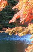 Туры в отель Twin-Line Hotel Karuizawa Japan