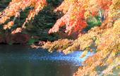 Туры в отель Twin-Line Hotel Karuizawa Japan