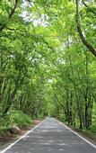 Туры в отель Twin-Line Hotel Karuizawa Japan