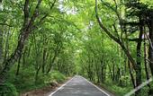 Туры в отель Twin-Line Hotel Karuizawa Japan