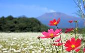 Туры в отель Twin-Line Hotel Karuizawa Japan
