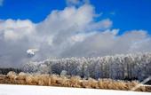 Туры в отель Twin-Line Hotel Karuizawa Japan