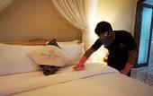 Туры в отель Shanaya Resort Malang