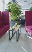 Туры в отель Four Points Flex by Sheraton Bochum