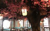 Туры в отель Floral Hotel Furong Town Galaxy Heights Hotel(Wangcun Waterfall Store)