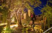 Туры в отель Hotel Desertica