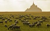 Туры в отель ibis Pontorson Baie du Mont-Saint-Michel