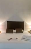 Туры в отель The Color Hostel