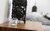 Туры в отель The Color Hostel