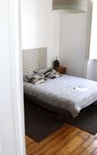 Туры в отель The Color Hostel