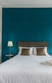 Туры в отель The Color Hostel