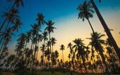 Туры в отель Lazy Day The Resort