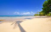 Туры в отель Lazy Day The Resort