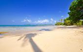 Туры в отель Lazy Day The Resort