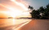 Туры в отель Lazy Day The Resort