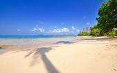 Туры в отель Lazy Day The Resort