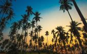 Туры в отель Lazy Day The Resort